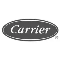 carrier